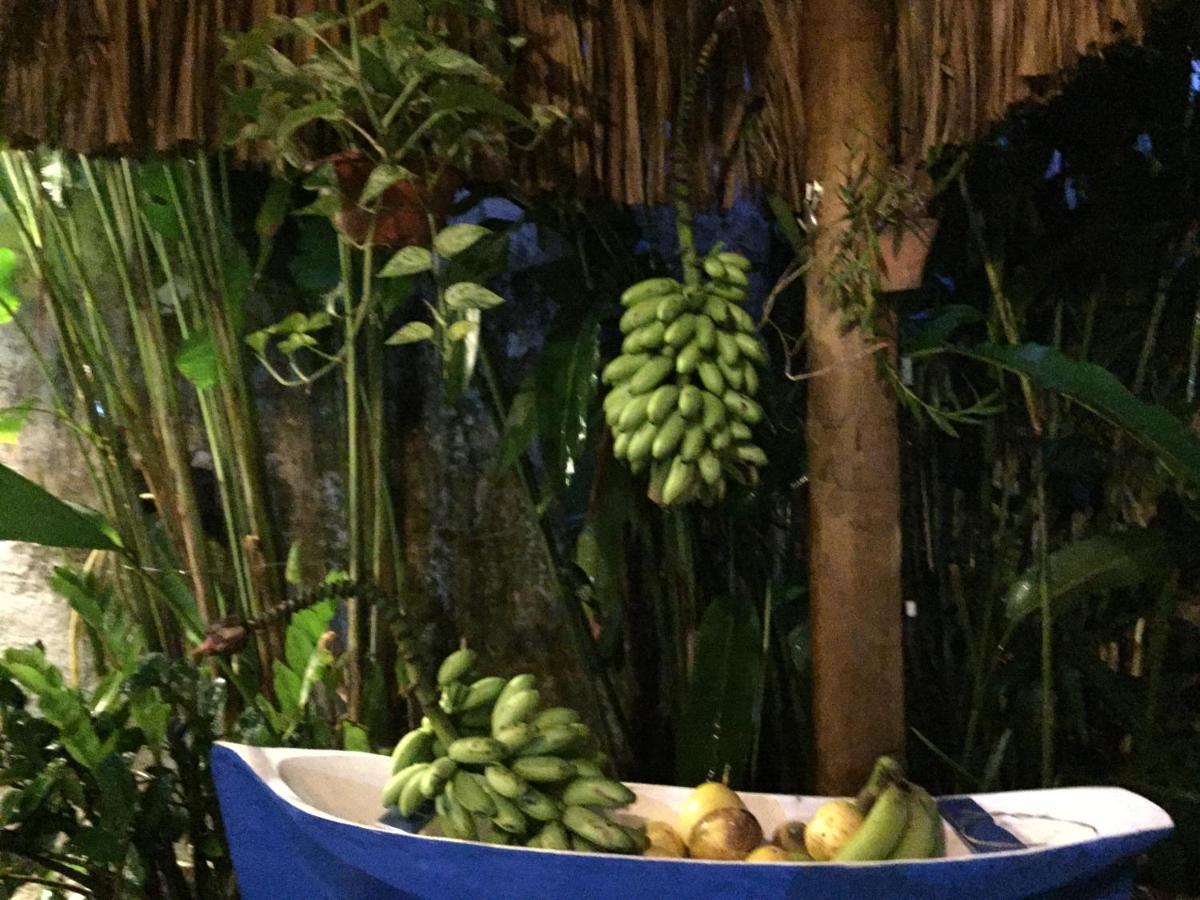 Pousada Jardim Dos Oliveiras Araquari Zewnętrze zdjęcie